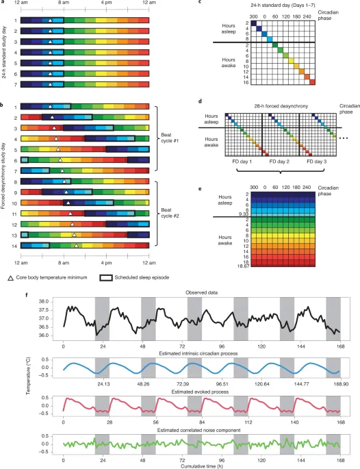 Circadian rhythm and sleep-wake patterns