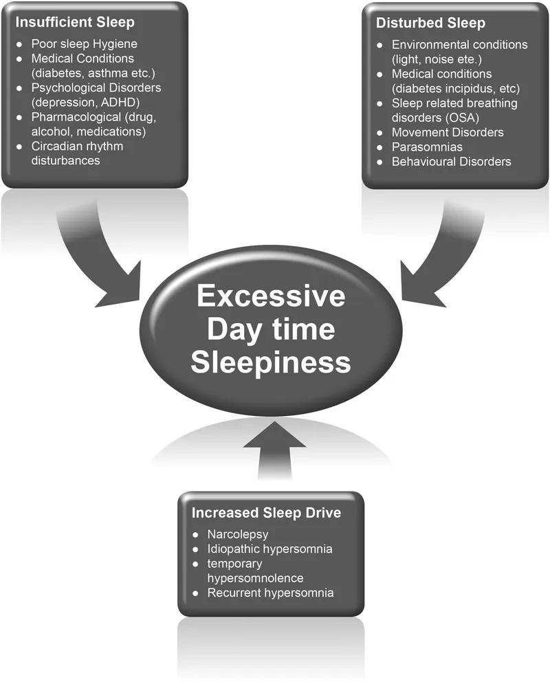 Causes of Excessive Daytime Sleepiness