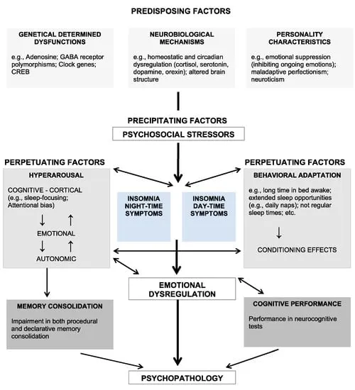 3P Model of Insomnia and Psychopathology