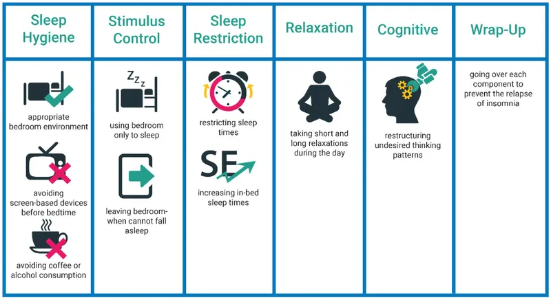 CBT-I Components for Insomnia Treatment