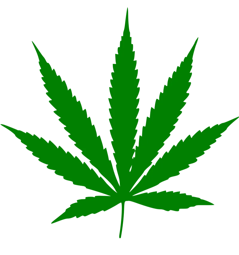 Cannabis plant and products