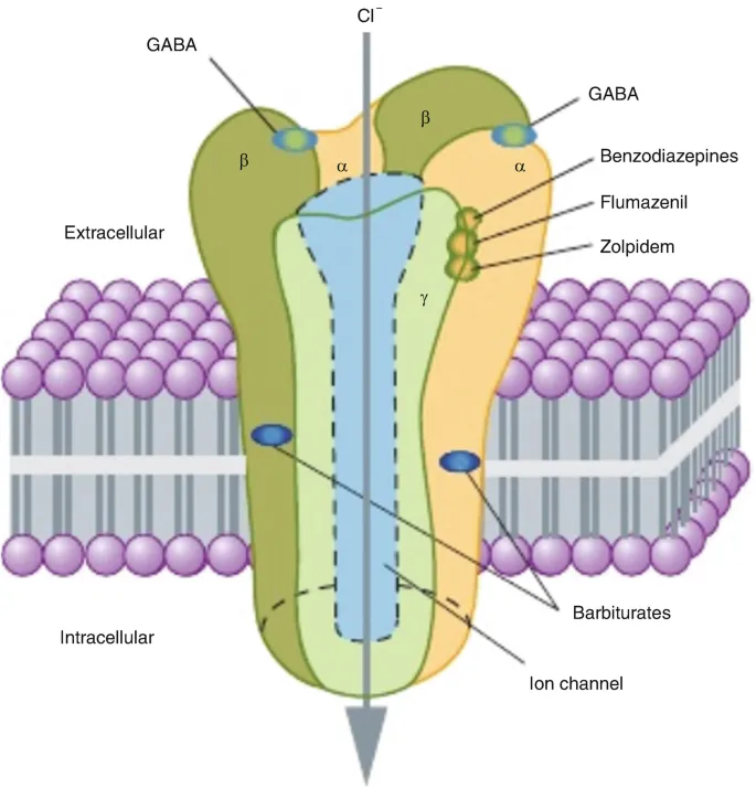 GABA-A receptor and binding sites for sedatives
