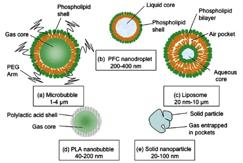 Ultrasound contrast agent types diagram