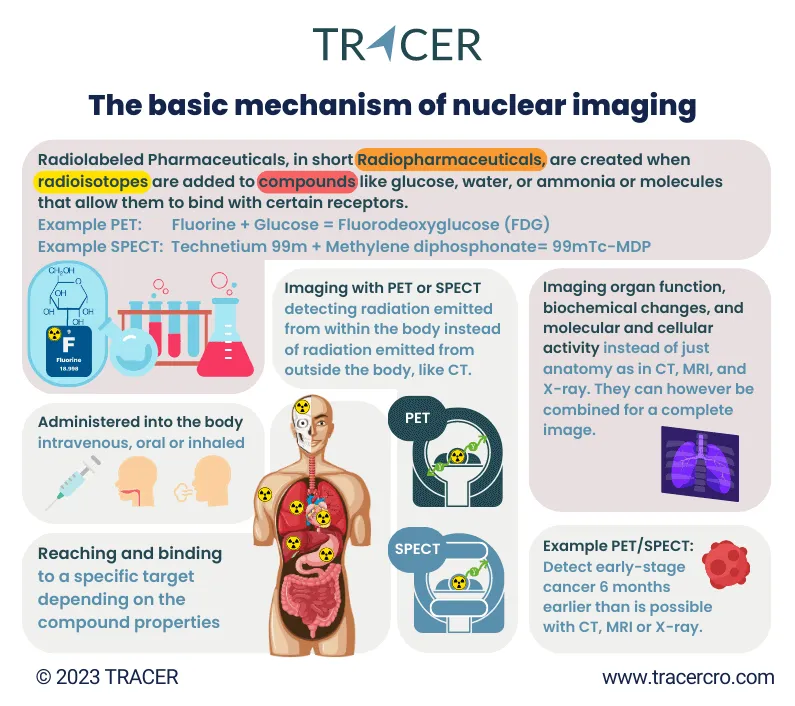 Mechanism of Nuclear Imaging with Radiopharmaceuticals