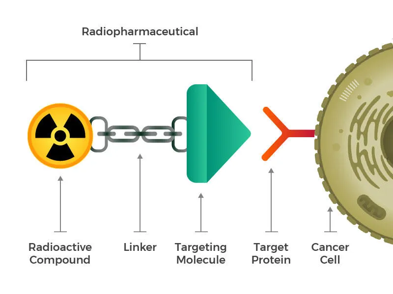 Radiopharmaceutical targeting a cancer cell