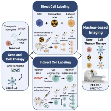 Direct vs Indirect Cell Labeling for Nuclear Imaging