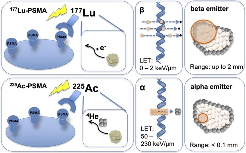 Alpha vs Beta Emitter Mechanism in Theranostics
