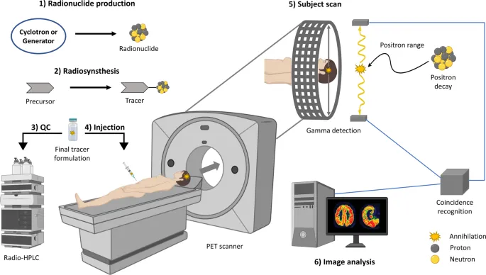 PET/CT process diagram