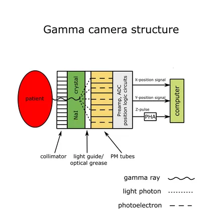 Gamma camera structure and signal processing