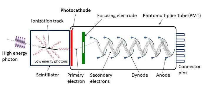 Scintillation detector with PMT components and photon path