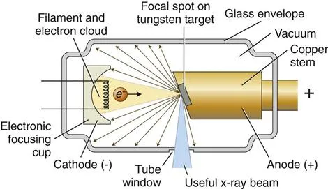X-ray tube diagram with electron and X-ray paths
