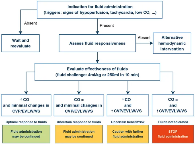 Fluid Administration Algorithm for ATLS
