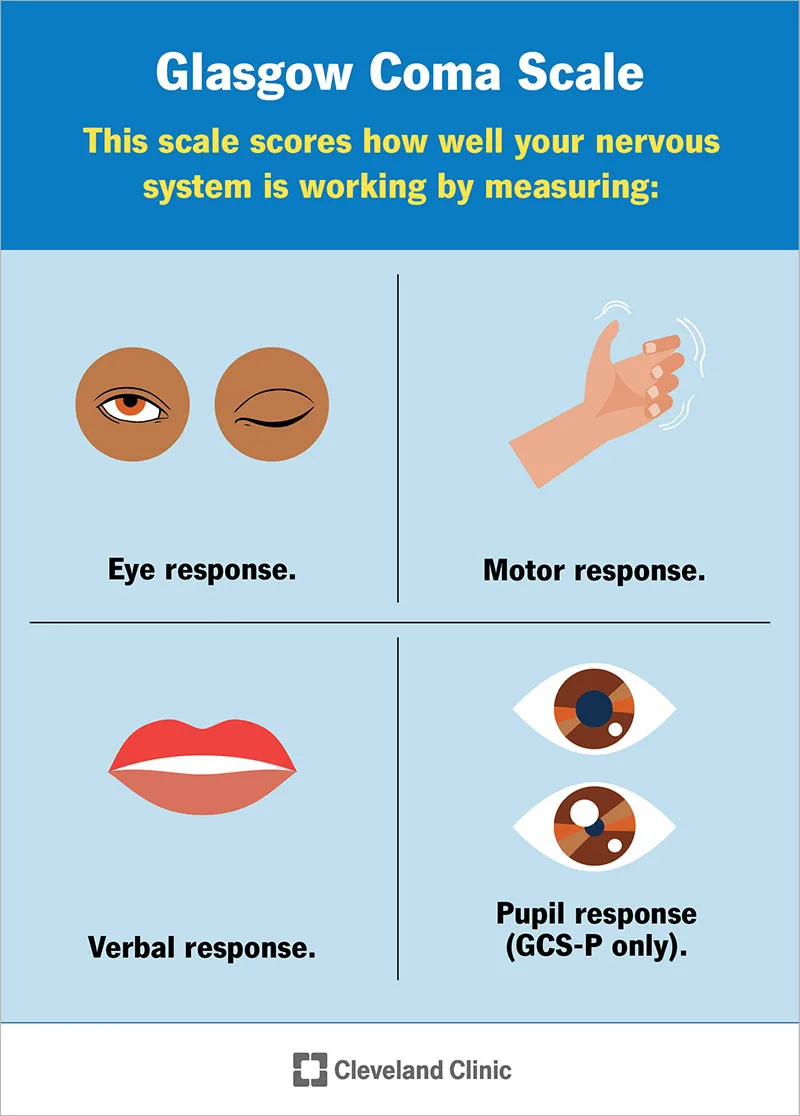Glasgow Coma Scale Components