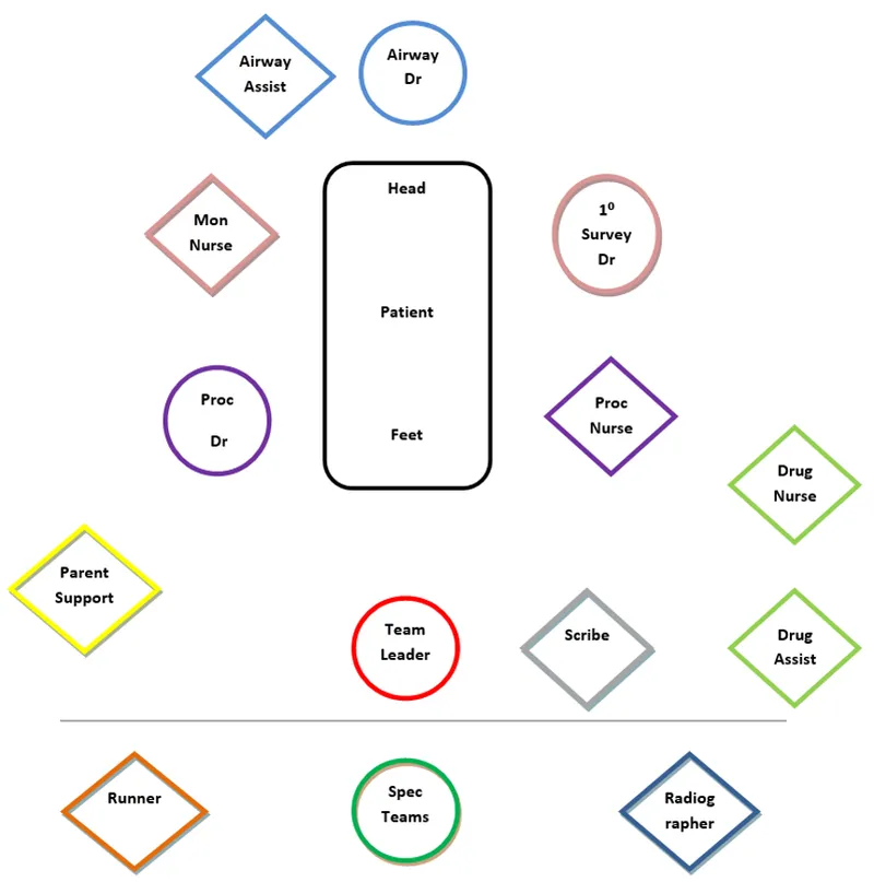 Trauma Team Organization and Roles Diagram