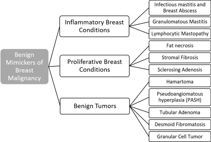 Benign Mimickers of Breast Malignancy