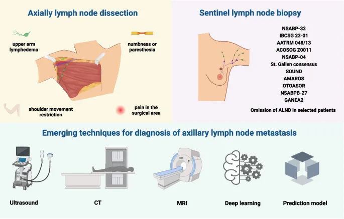 Axillary lymph node management in breast cancer surgery