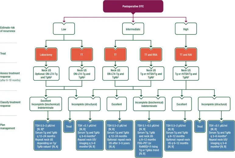 Postoperative DTC Management and Follow-up