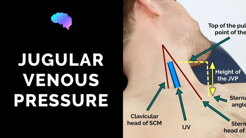 Jugular Venous Pressure (JVP) Measurement Technique