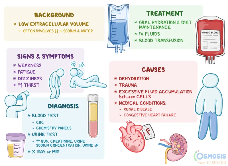 Hypovolemia: Background, Signs, Diagnosis, Causes, Treatment