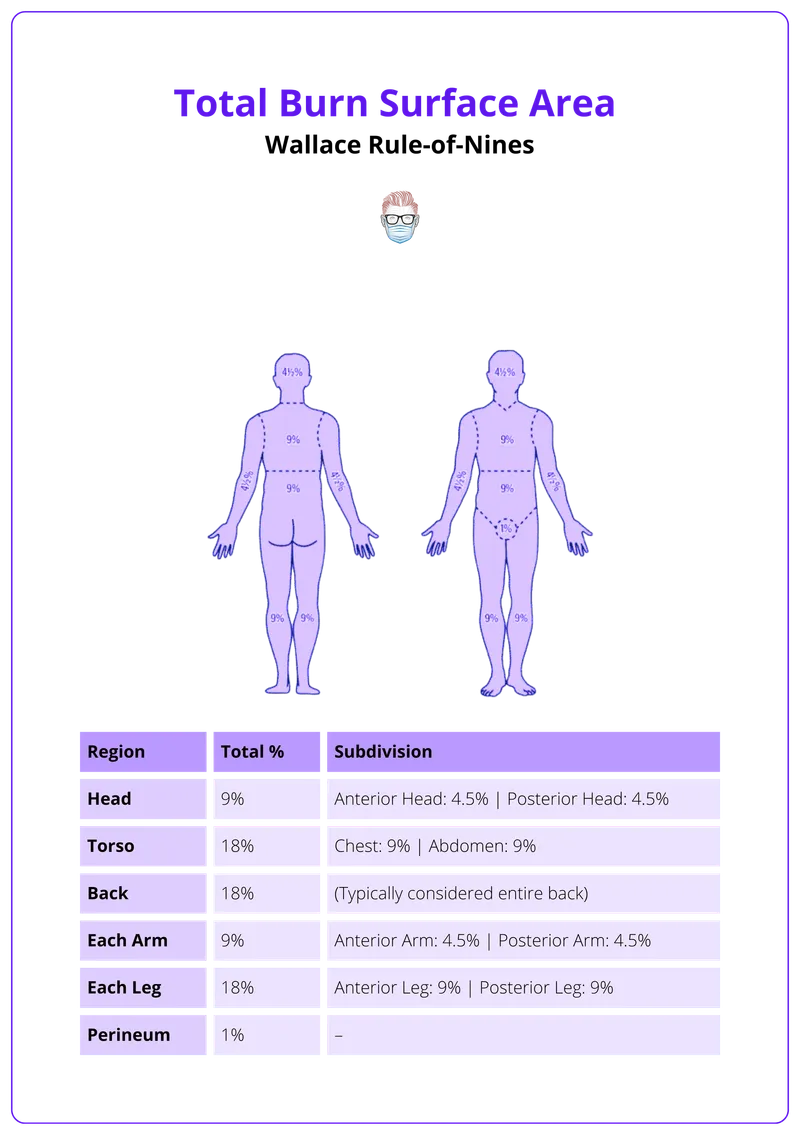 Rule of 9s for Adult TBSA Estimation