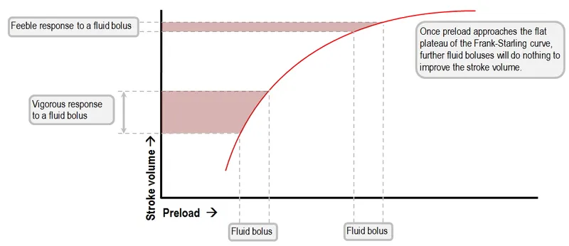 Frank-Starling Curve: Fluid Responsiveness