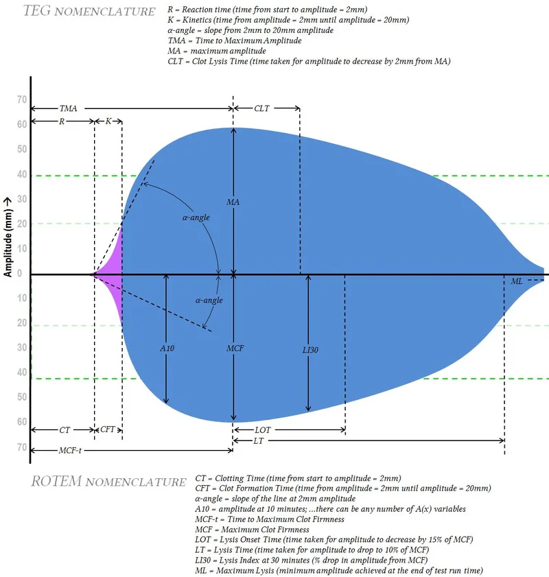 TEG and ROTEM graphical output with parameter labels