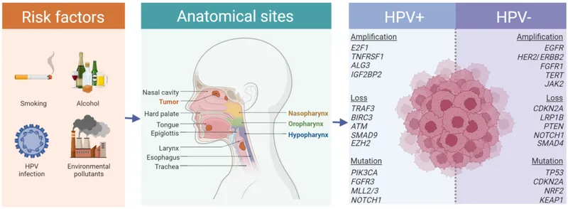 Head and Neck Cancer: Risk Factors, Sites, Genetics