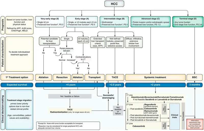 HCC Treatment Algorithm based on BCLC Staging