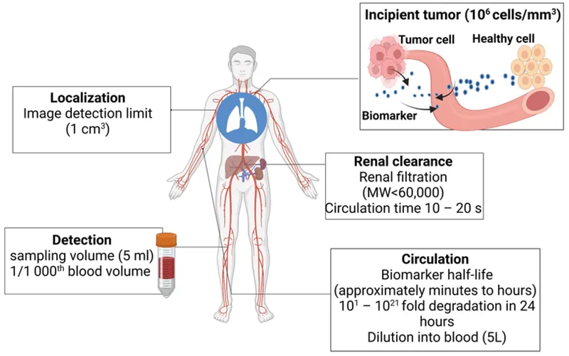 Biomarker detection in oncological surveillance