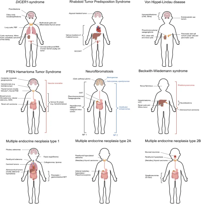 Organ Manifestations in Hereditary Cancer Syndromes
