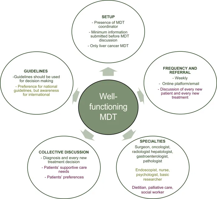 Well-functioning MDT for liver cancer