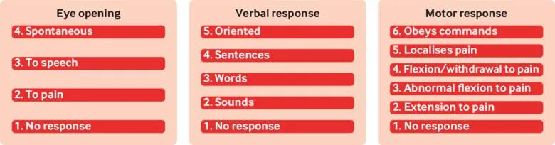 Pediatric Glasgow Coma Scale
