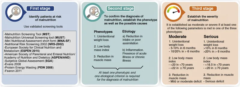 Malnutrition Diagnosis and Severity Assessment Stages