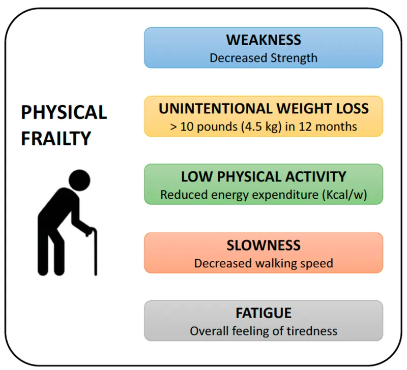 Fried Frailty Phenotype Components