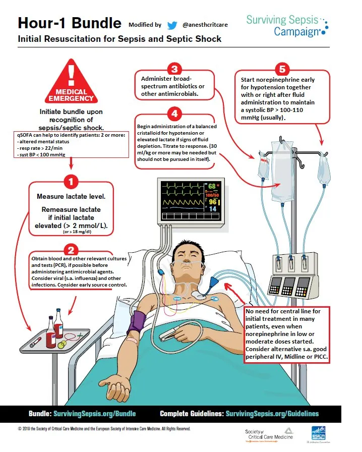 Surviving Sepsis Campaign Hour-1 Bundle