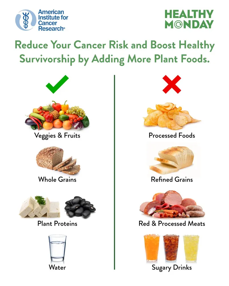 Plant-based foods for cancer survivorship