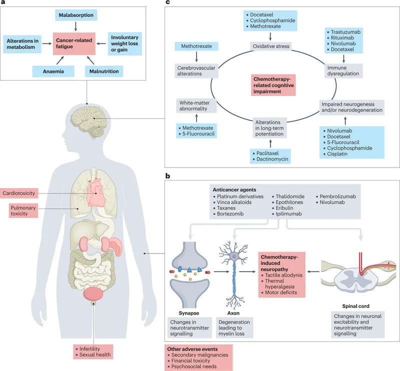 Late effects of cancer treatment by body system