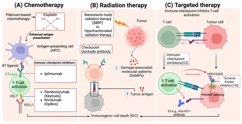 Targeted therapy vs chemo and radiation
