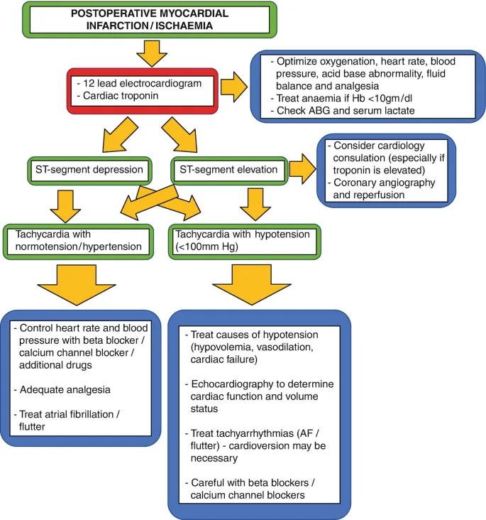 Postoperative Myocardial Infarction/Ischemia Management