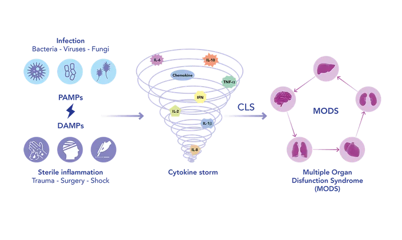 SIRS Pathophysiology: From Infection/Trauma to MODS