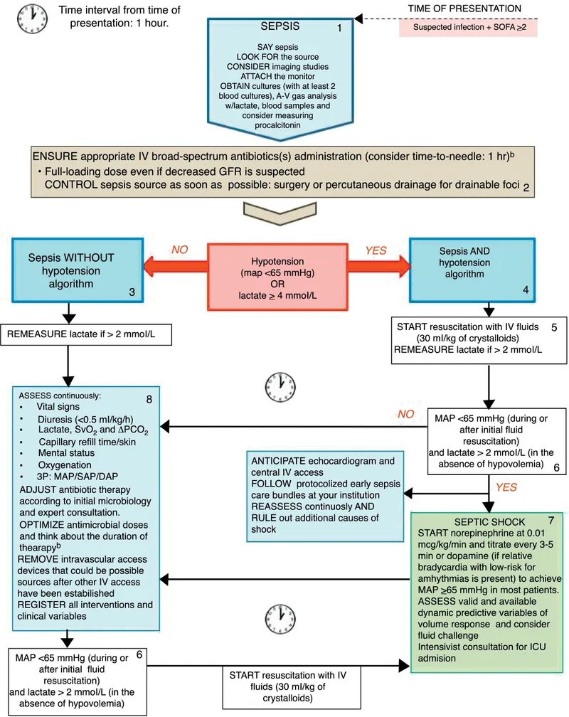 Sepsis Management Algorithm