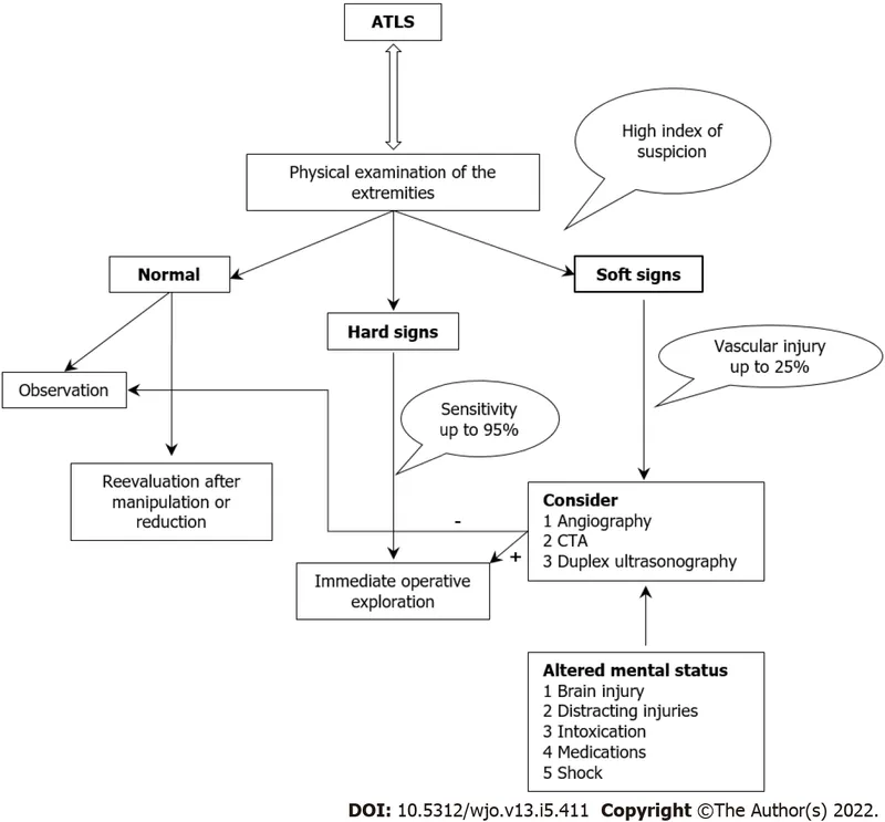 Algorithm for vascular injury assessment