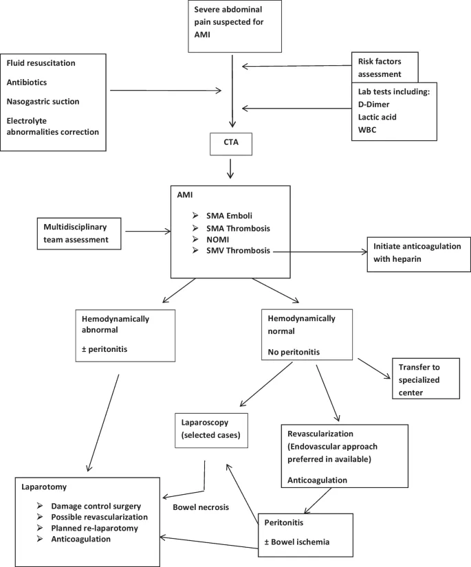 Algorithm for Suspected Acute Mesenteric Ischemia