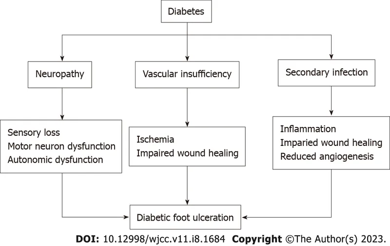 Pathophysiology of Diabetic Foot Ulceration