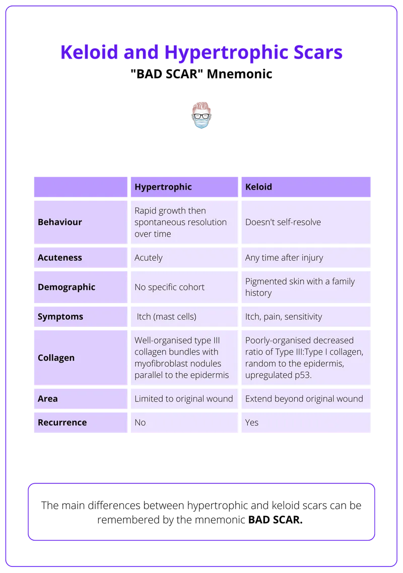 Keloid vs. Hypertrophic Scar Comparison Table