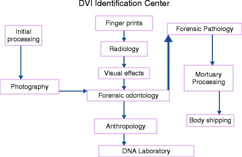 DVI Identification Center Workflow