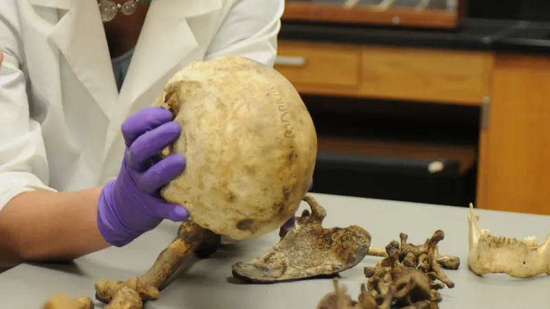 Forensic anthropology: Analyzing human skeletal remains
