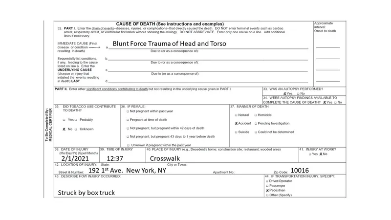 Death Certificate: Blunt Force Trauma, Pedestrian Accident