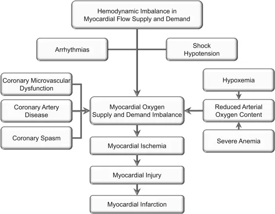 Myocardial Oxygen Supply and Demand Imbalance Pathway