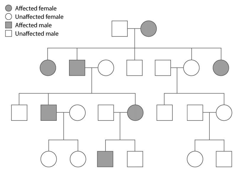 Pedigree chart showing autosomal dominant inheritance